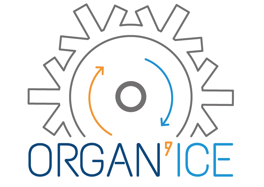 logo_ORGANICE_transparent